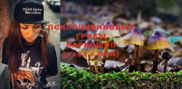 каннабис Богданович